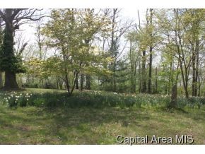 6 North Cotton Hill Road Springfield, IL 62712 - Photo 11 of 11