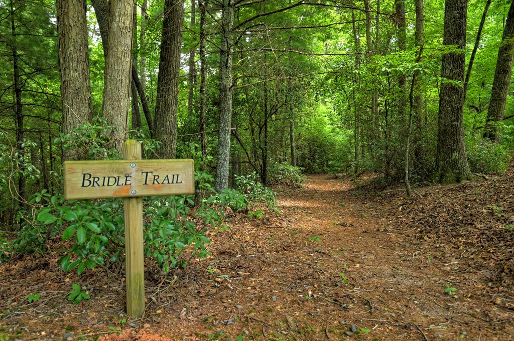 27 R Tanager Trail Ellijay, GA 30536 - Photo 41 of 60 Community hiking trail