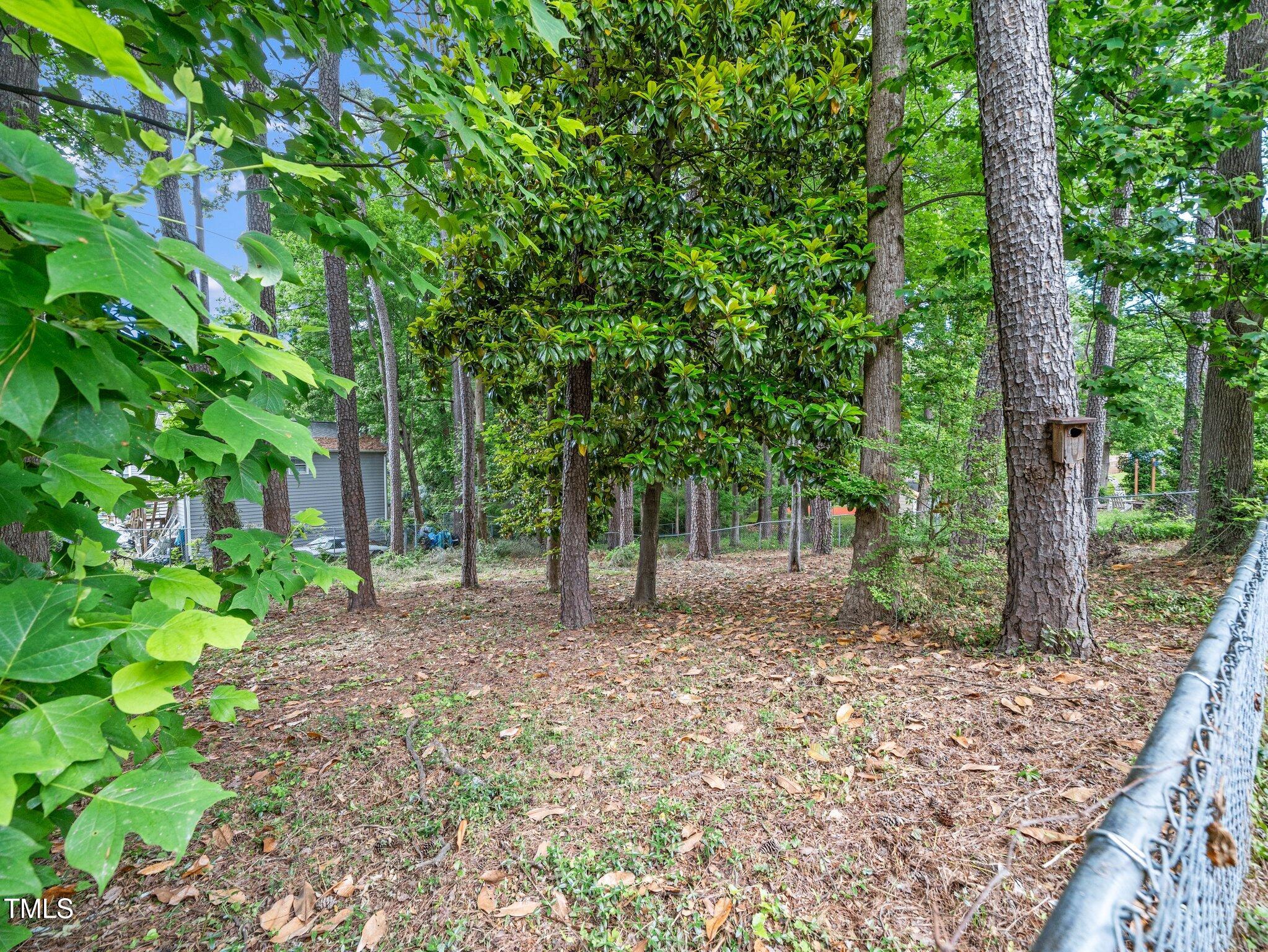 1313 Ridge Road Raleigh, NC 27607 - Photo 29 of 37 a backyard of a house with lots of green space