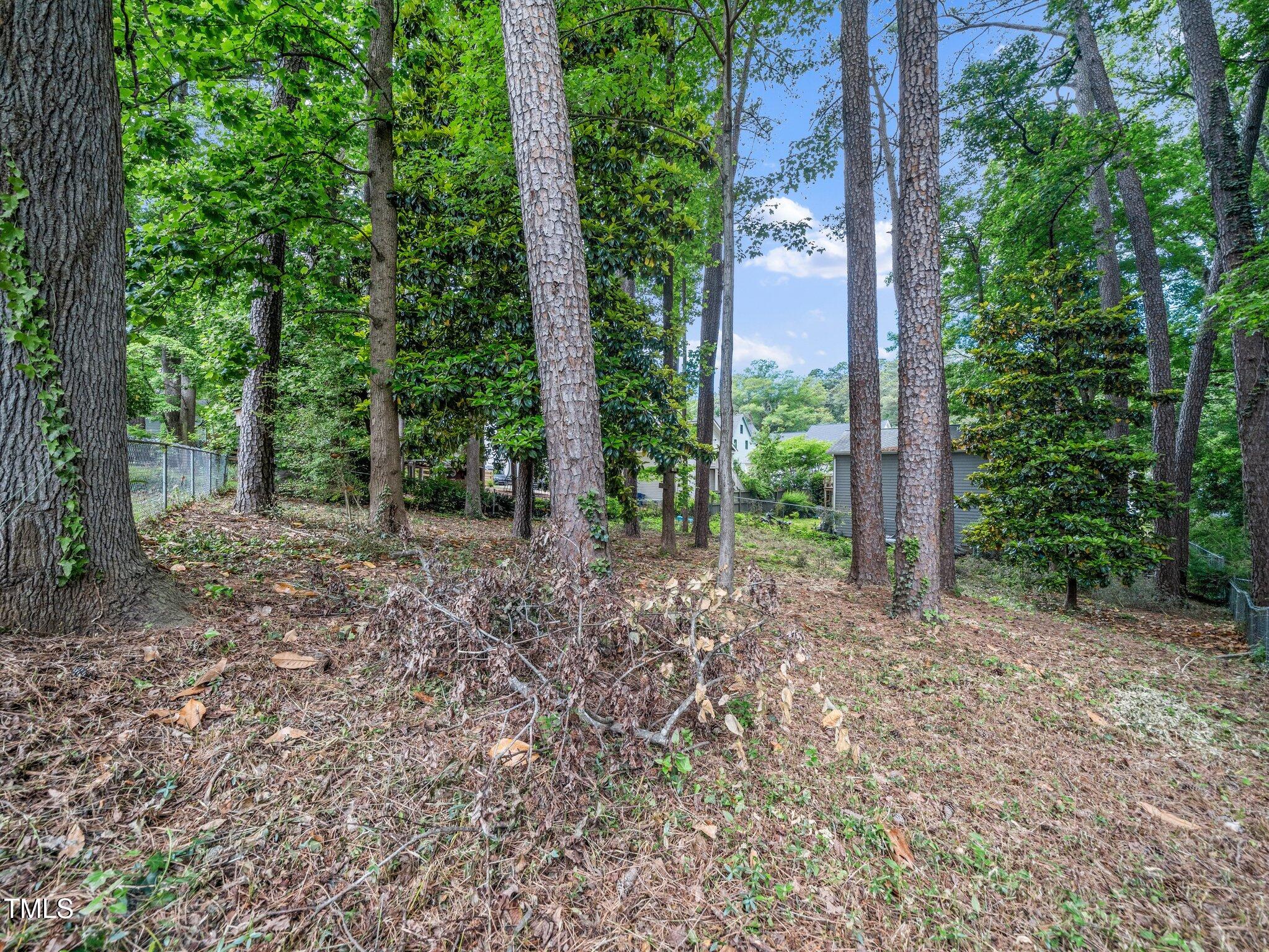 1313 Ridge Road Raleigh, NC 27607 - Photo 31 of 37 a view of a trees in a yard with large trees