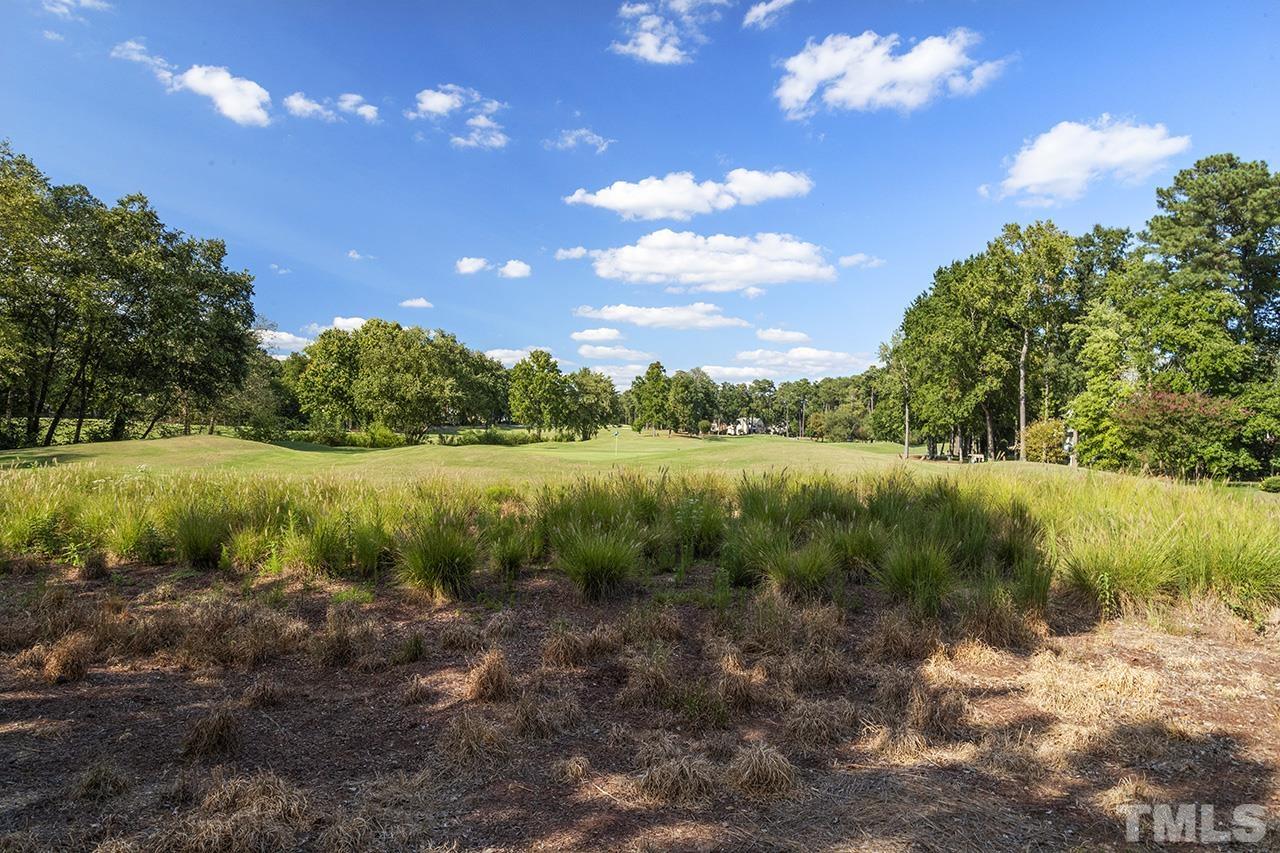 101 Timber Hitch Road Cary, NC 27513 - Photo 48 of 48 Gallery Image 48