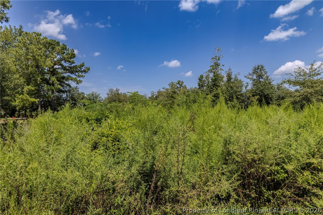 546 Pearsall Road Red Springs, NC 28377 - Photo 3 of 3 Gallery Image 3