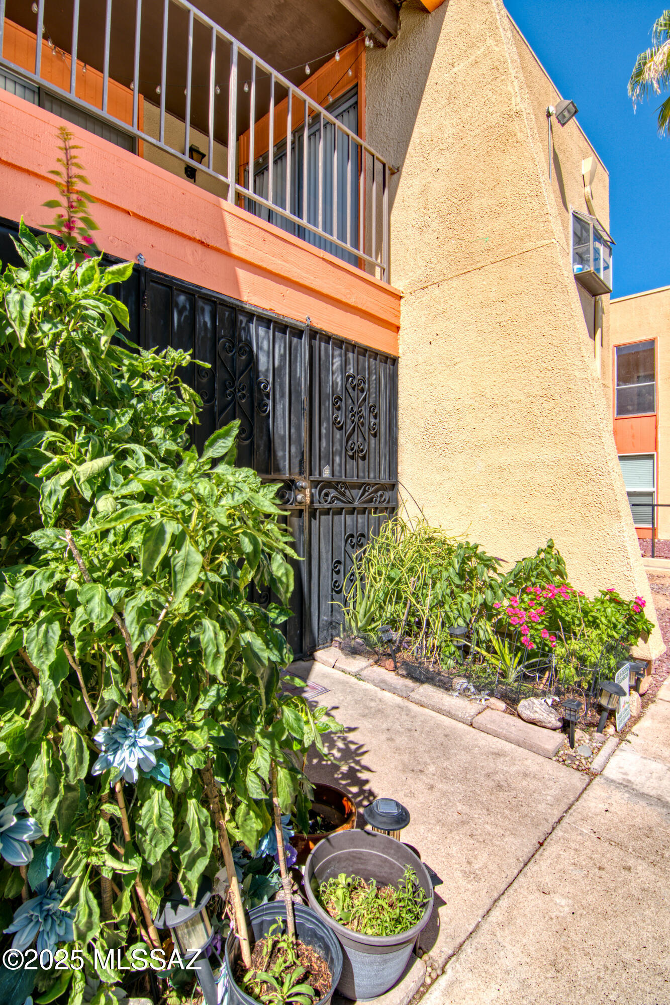 1620 North Wilmot Road, Unit E162 Tucson, AZ 85712 - Photo 17 of 20