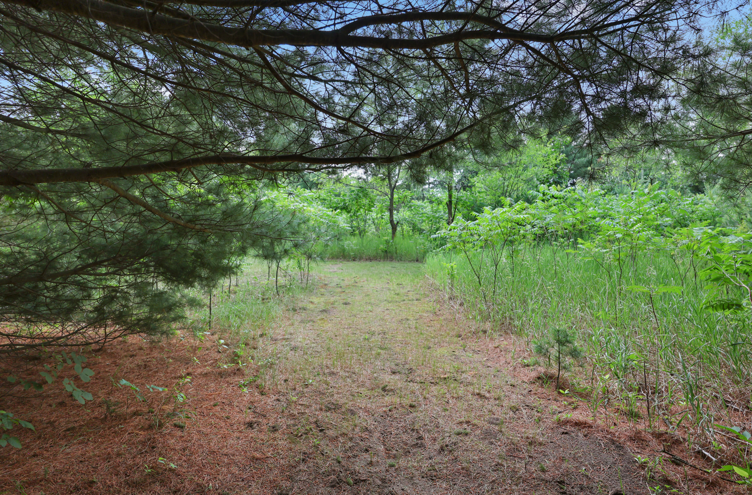 4040 Ricecliff Lane Rice, MN 56367 - Photo 119 of 124