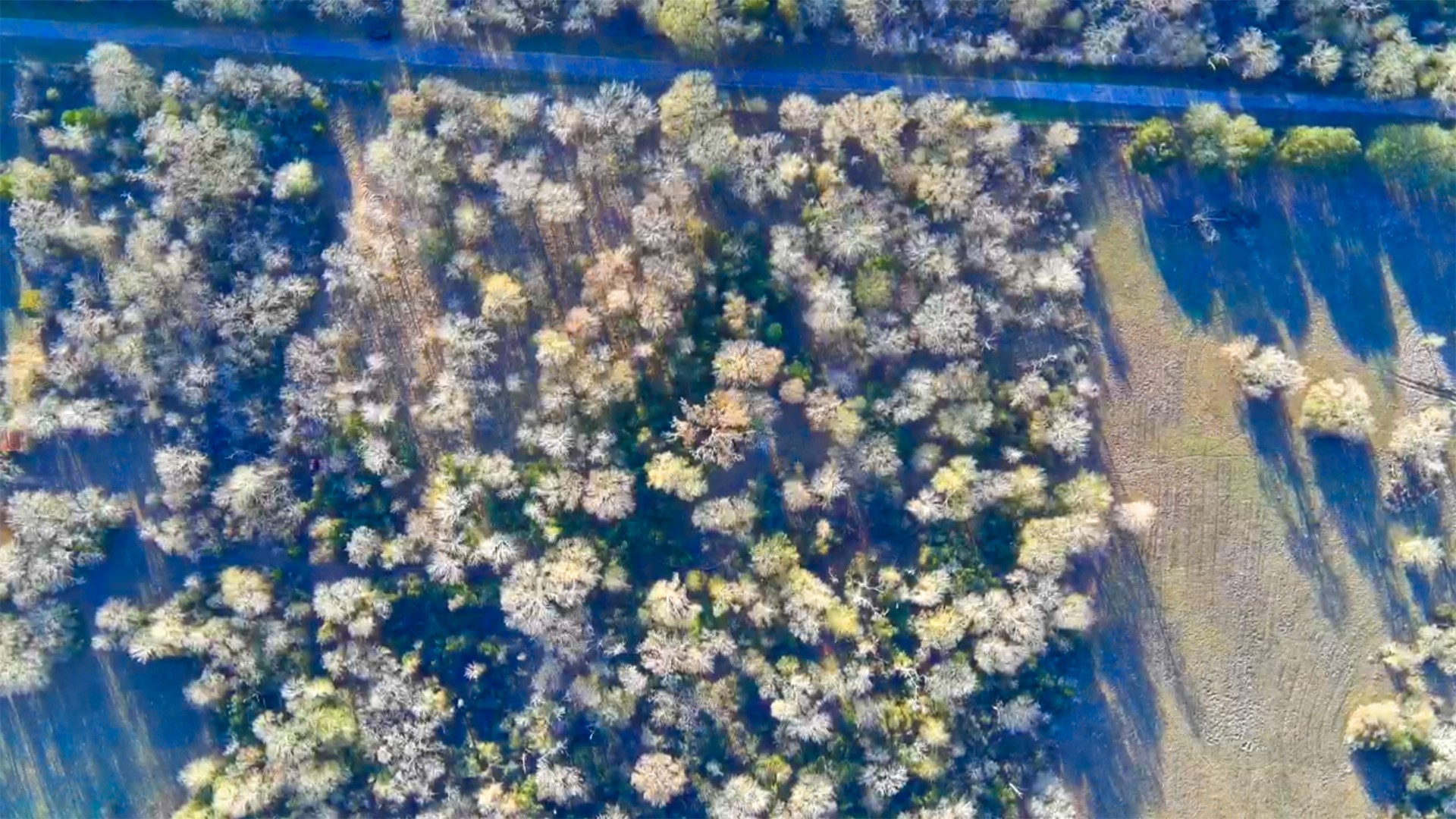 18503 Derrick Road Hempstead, TX 77445 - Photo 11 of 12