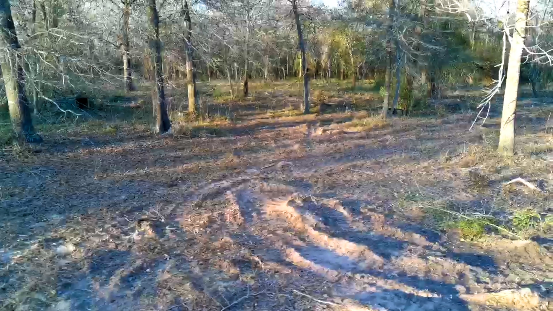 18503 Derrick Road Hempstead, TX 77445 - Photo 6 of 12