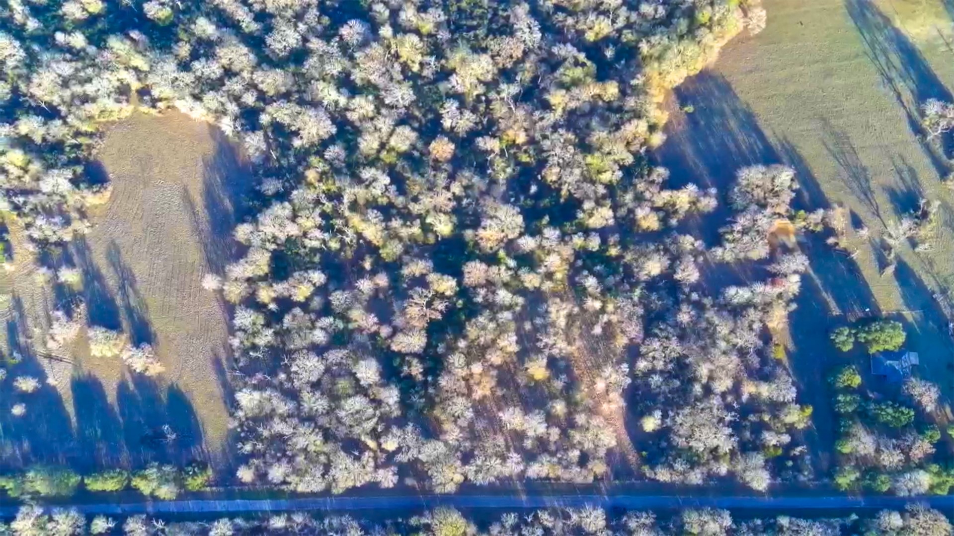 18503 Derrick Road Hempstead, TX 77445 - Photo 9 of 12