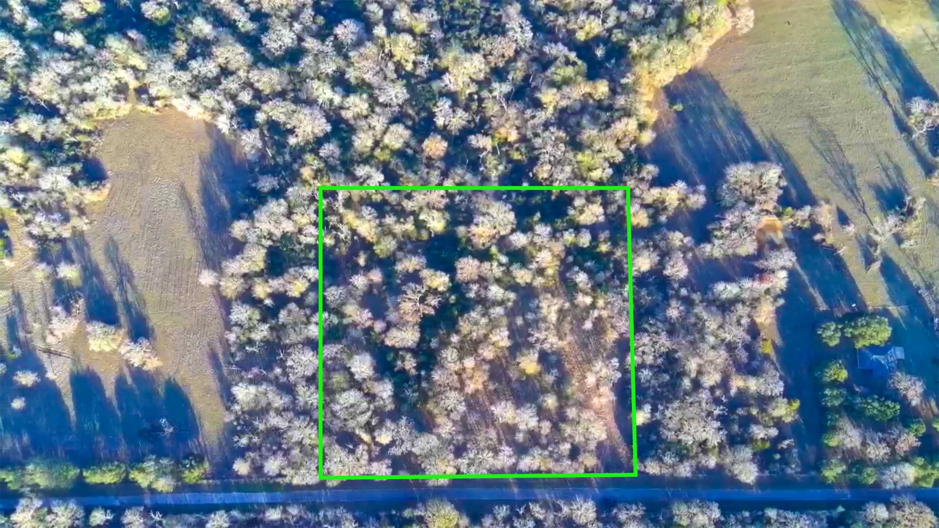 18503 Derrick Road Hempstead, TX 77445 - Photo 10 of 12