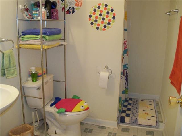 118 Jackson Heights Road Columbia, TN 38401 - Photo 14 of 15 Finished Bath on Basement Level