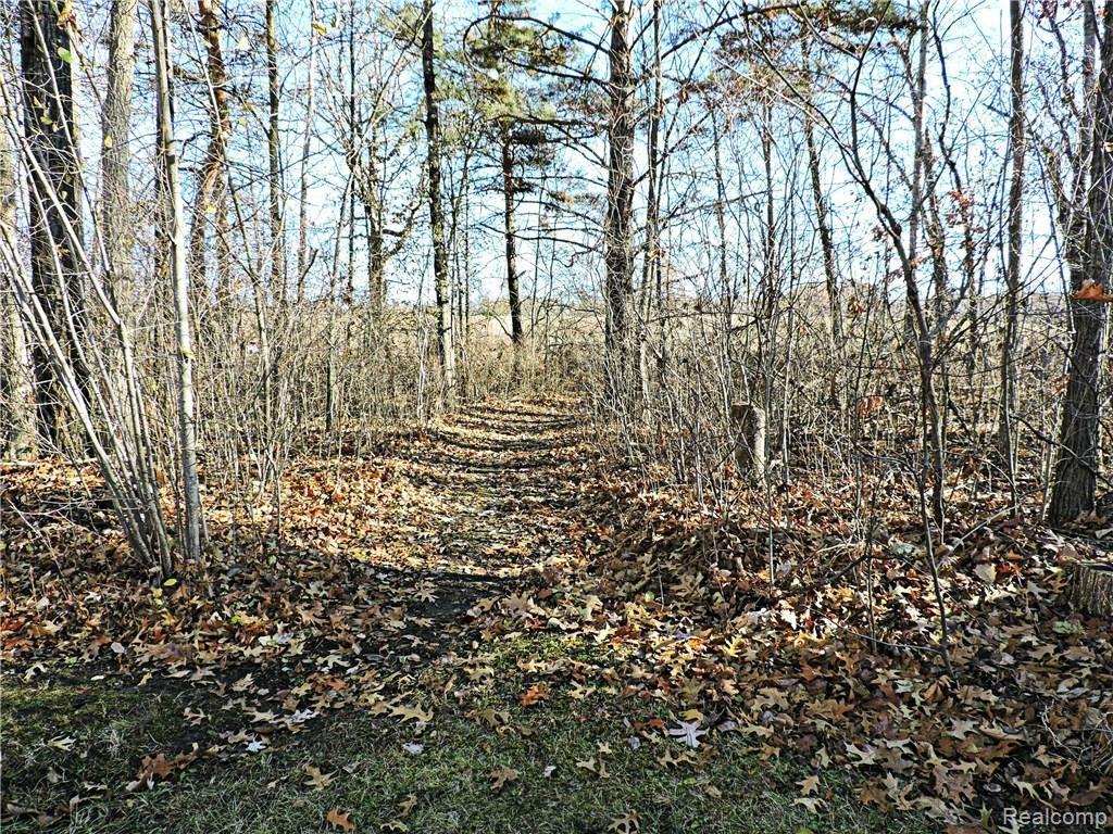 23 Barron Road Ortonville, MI 48462 - Photo 48 of 50 DSCN5979.JPG