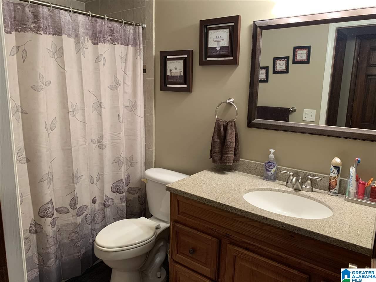 720 Big Rock Road Pell City, AL 35128 - Photo 21 of 47