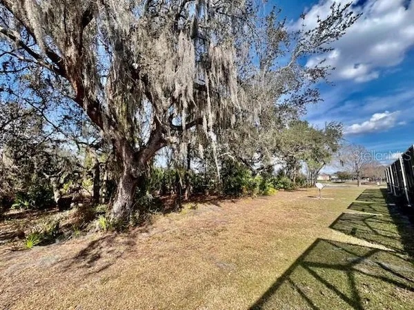 a view of a yard with trees