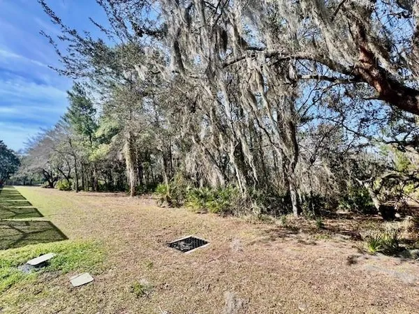 a view of a yard with trees