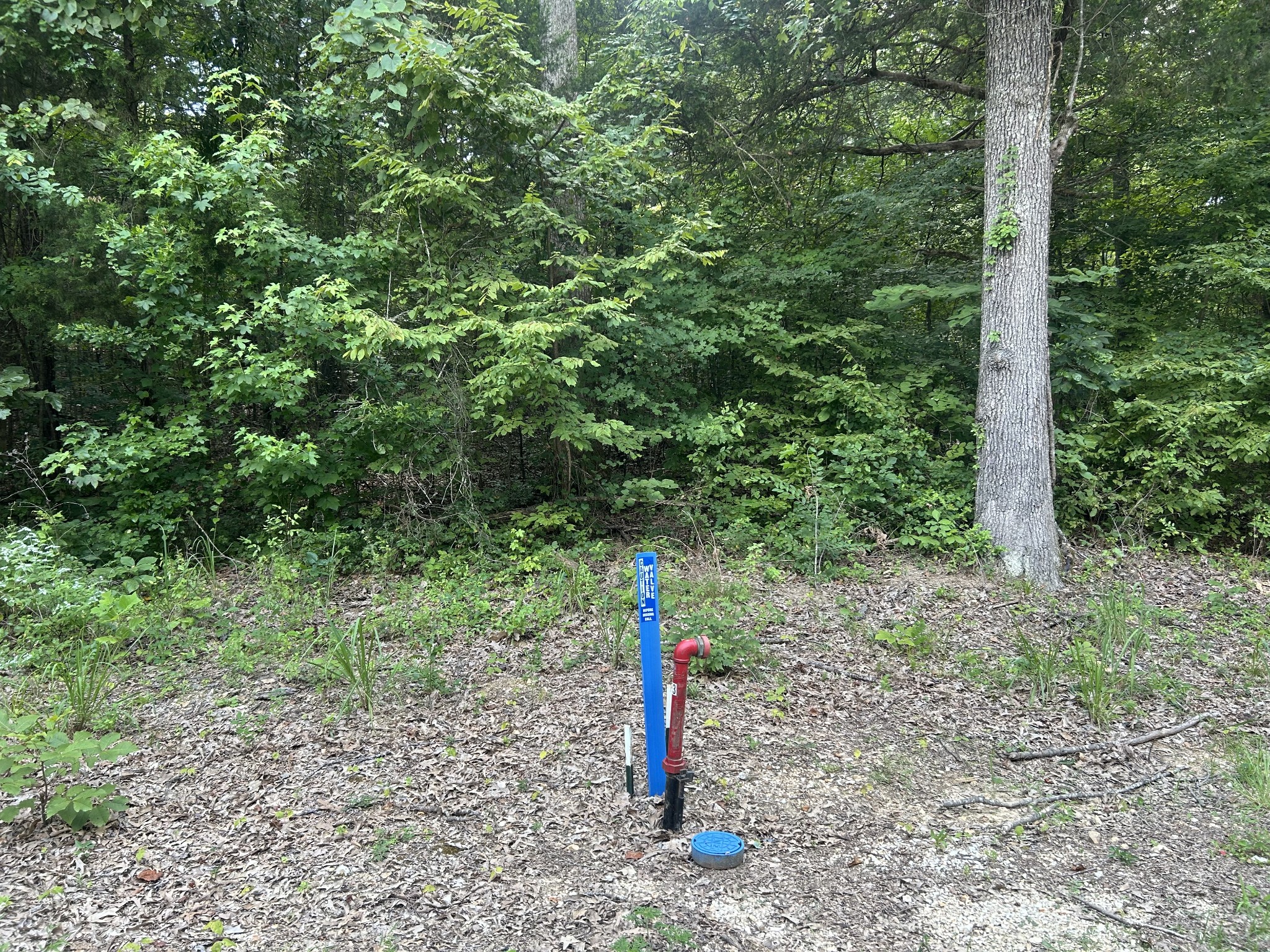 0 Fishermans Road Big Sandy, TN 38221 - Photo 1 of 4 Gallery Image 1