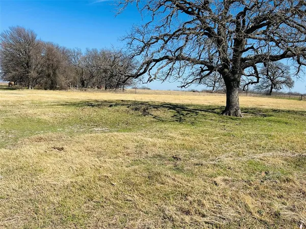 a view of a yard with a tree