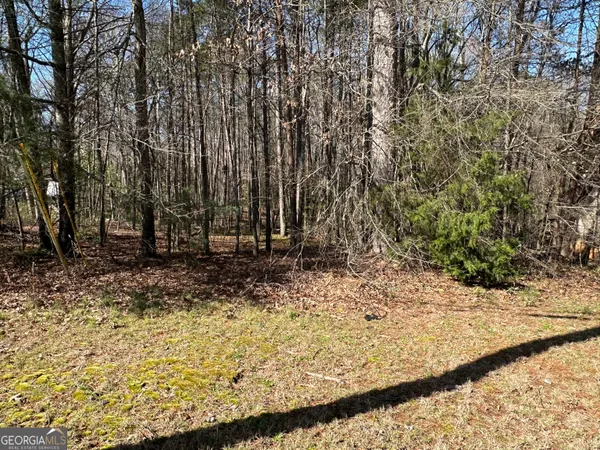 $17,500 | 0 Stephen Drive, Toccoa, GA 30577