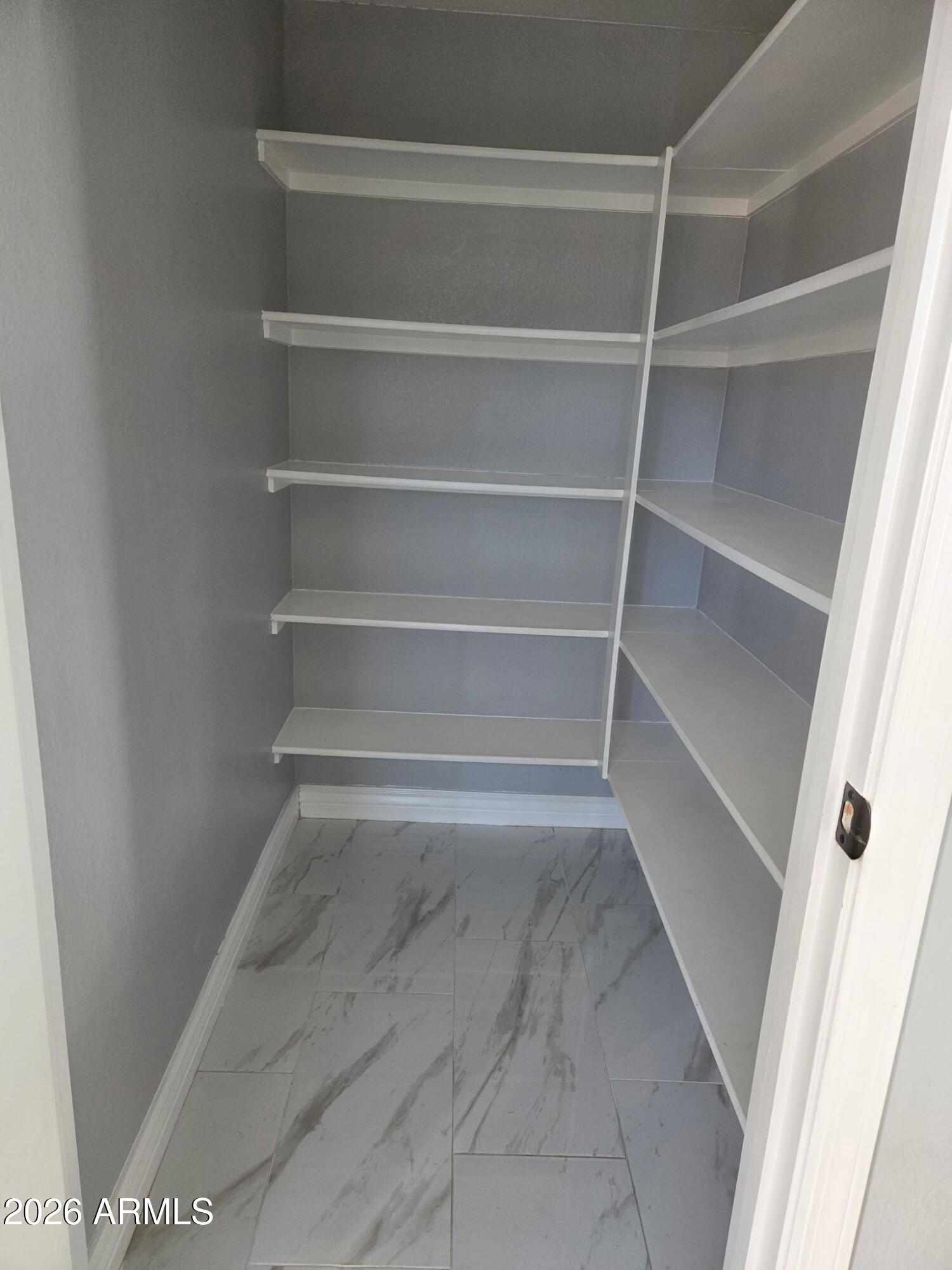 941 Mountain View Road San Tan Valley, AZ 85143 - Photo 6 of 48 a view of walk in closet with empty racks