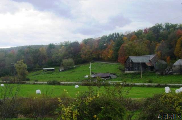 0 Colonel Baume Road Greenwich, NY 12834 - Photo 1 of 1 Photo 1