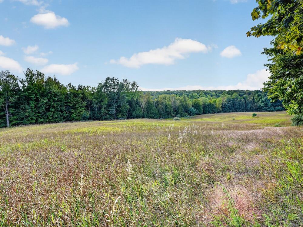 8530 Toad Lake Road Ellsworth, MI 49729 - Photo 43 of 93 074_DSC00161
