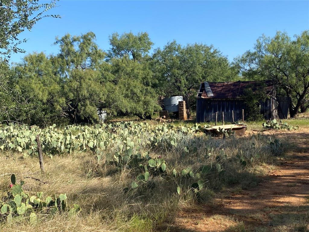 107 County Road 107 Cisco, TX 76437 - Photo 11 of 40 a view of swimming pool with a yard