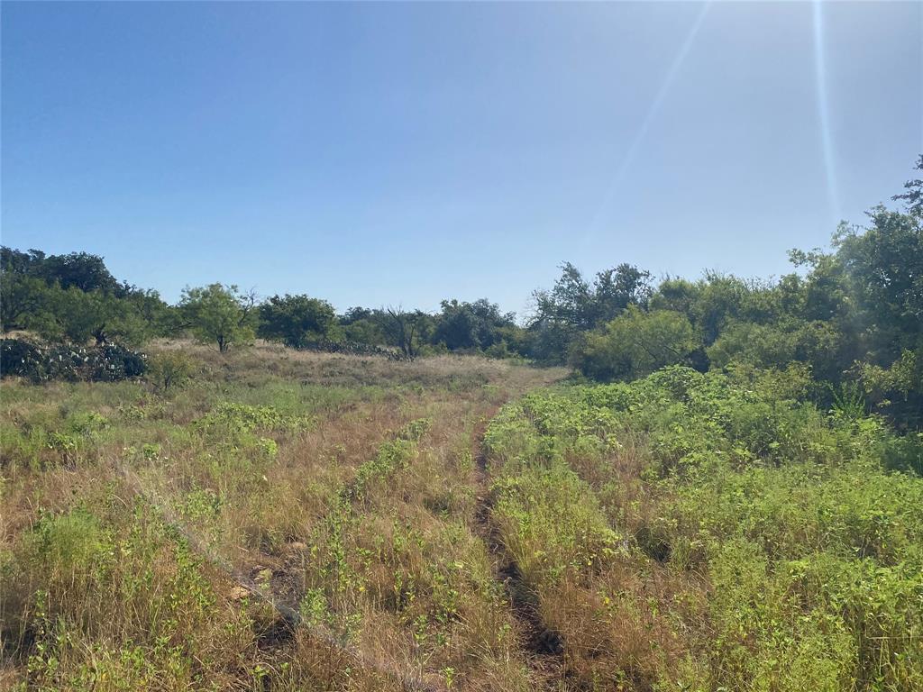 107 County Road 107 Cisco, TX 76437 - Photo 12 of 40 a view of a forest with trees in the background