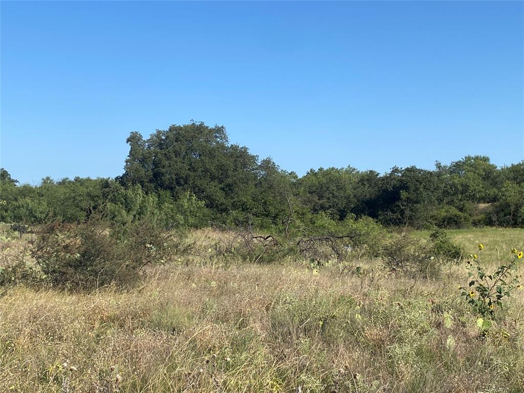 107 County Road 107 Cisco, TX 76437 - Photo 13 of 40 a view of an outdoor space with a lake view