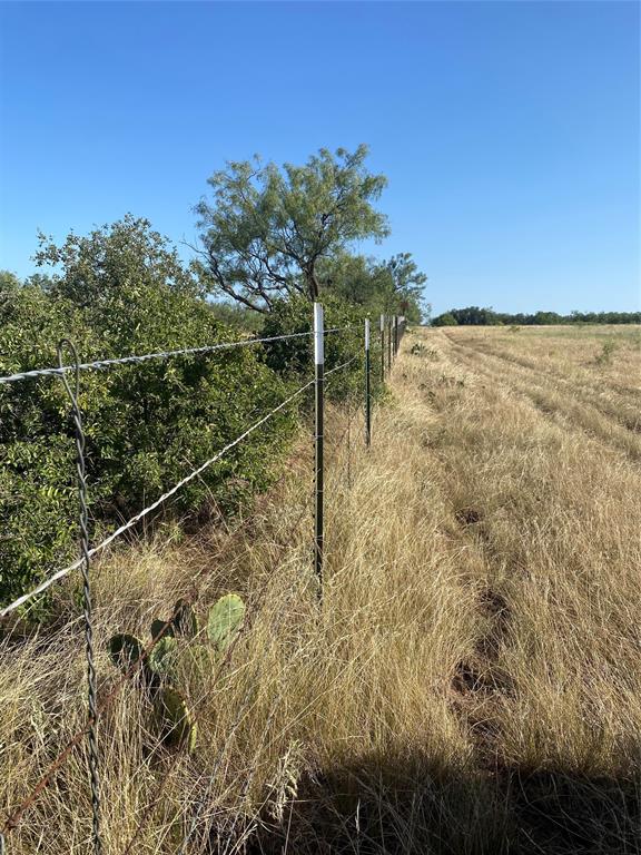 107 County Road 107 Cisco, TX 76437 - Photo 16 of 40 a view of a yard with an outdoor space