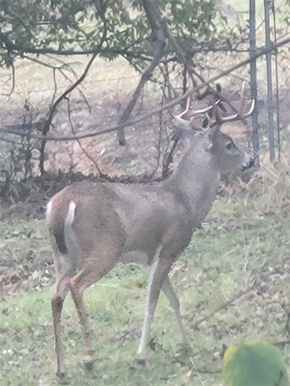 107 County Road 107 Cisco, TX 76437 - Photo 17 of 40