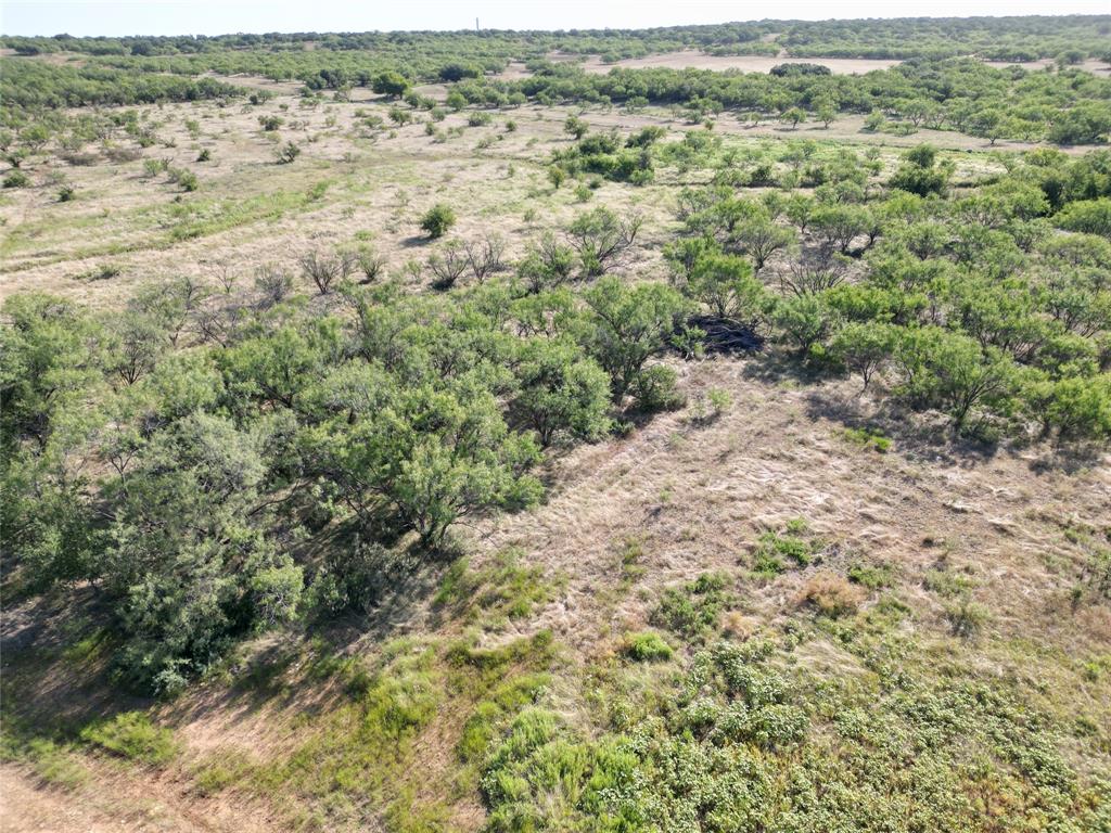107 County Road 107 Cisco, TX 76437 - Photo 18 of 40 an aerial view of forest