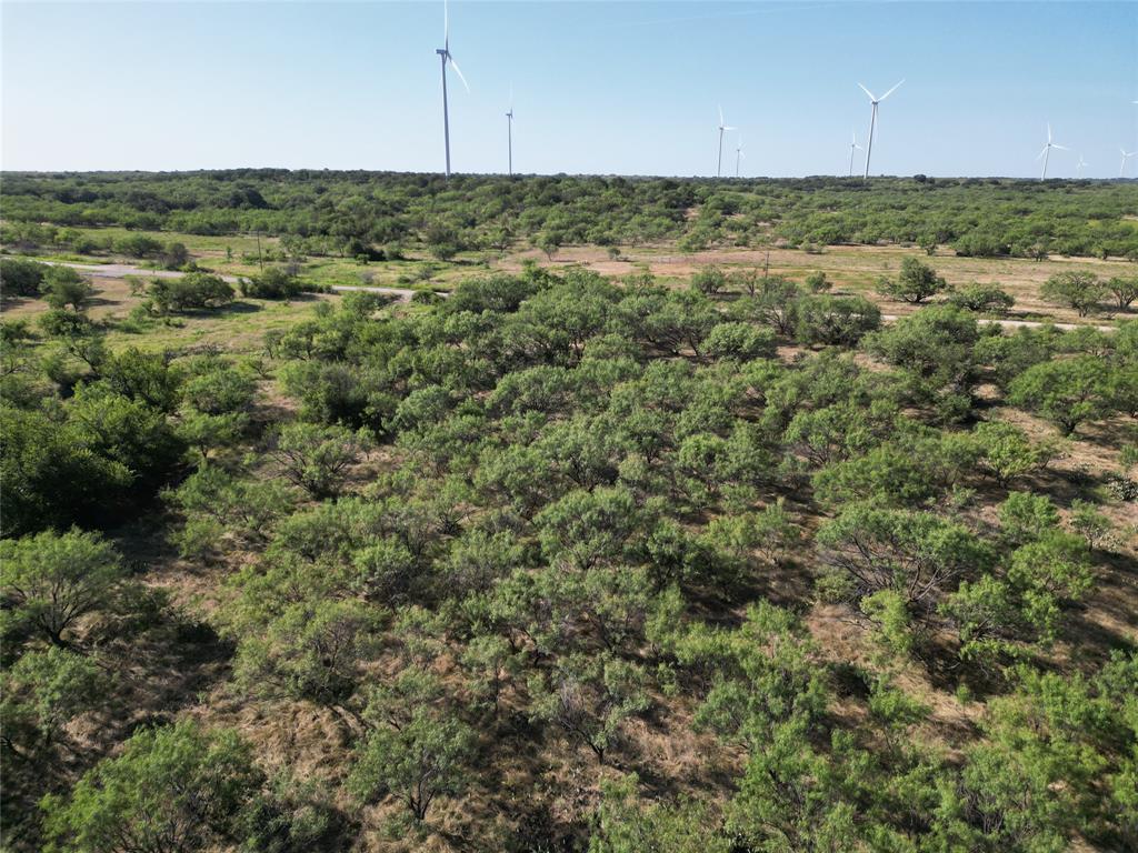 107 County Road 107 Cisco, TX 76437 - Photo 22 of 40 an aerial view of a houses with a yard