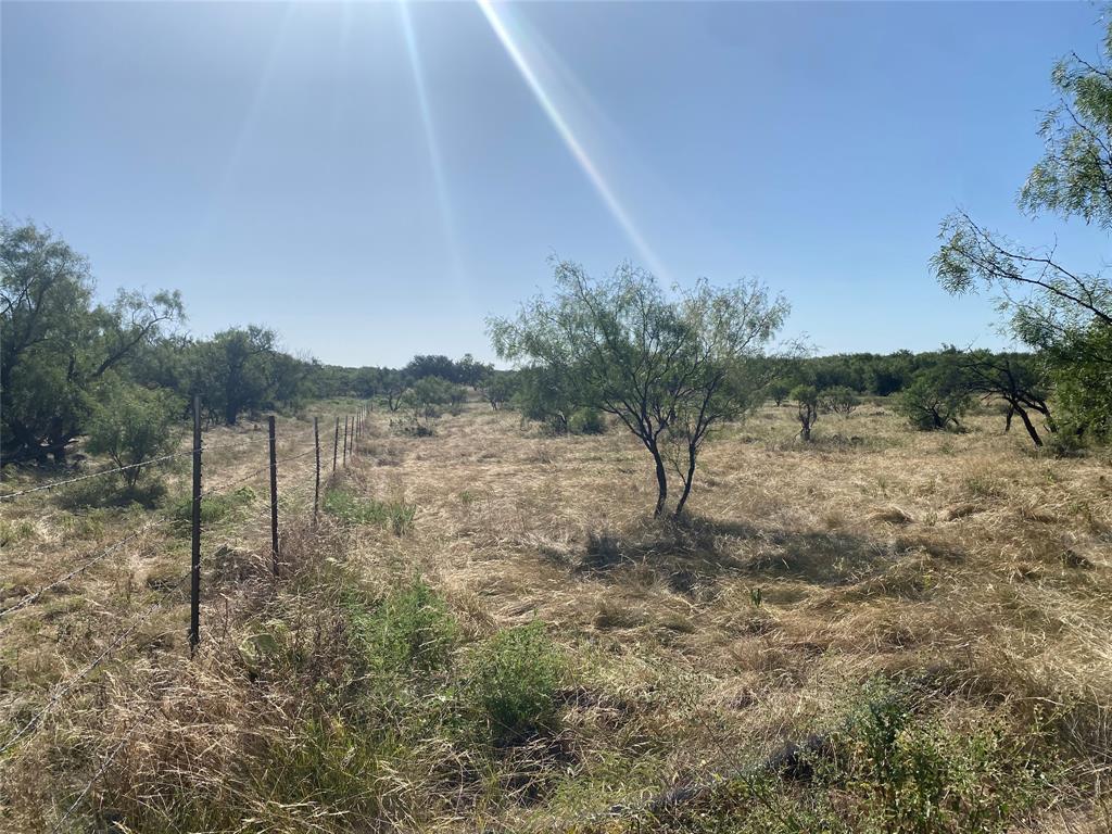 107 County Road 107 Cisco, TX 76437 - Photo 23 of 40 a view of a yard