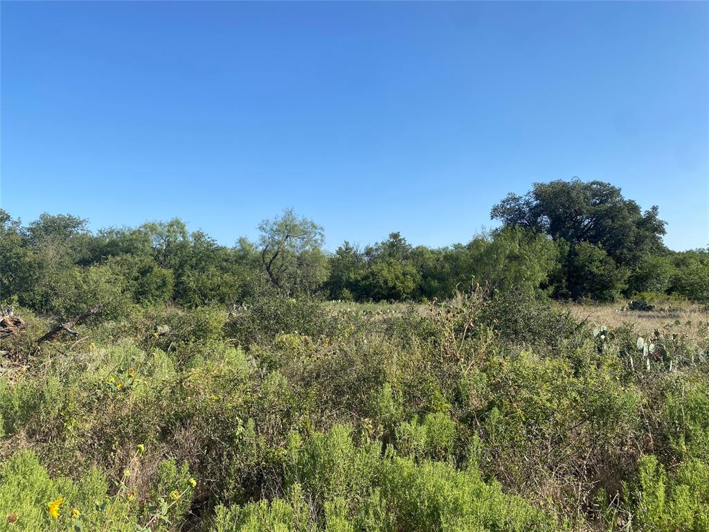 107 County Road 107 Cisco, TX 76437 - Photo 24 of 40 a view of a field of grass and trees
