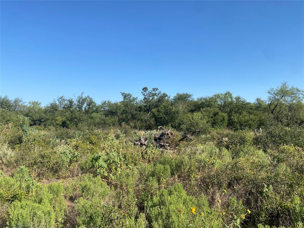 107 County Road 107 Cisco, TX 76437 - Photo 25 of 40 a view of a field of grass and trees