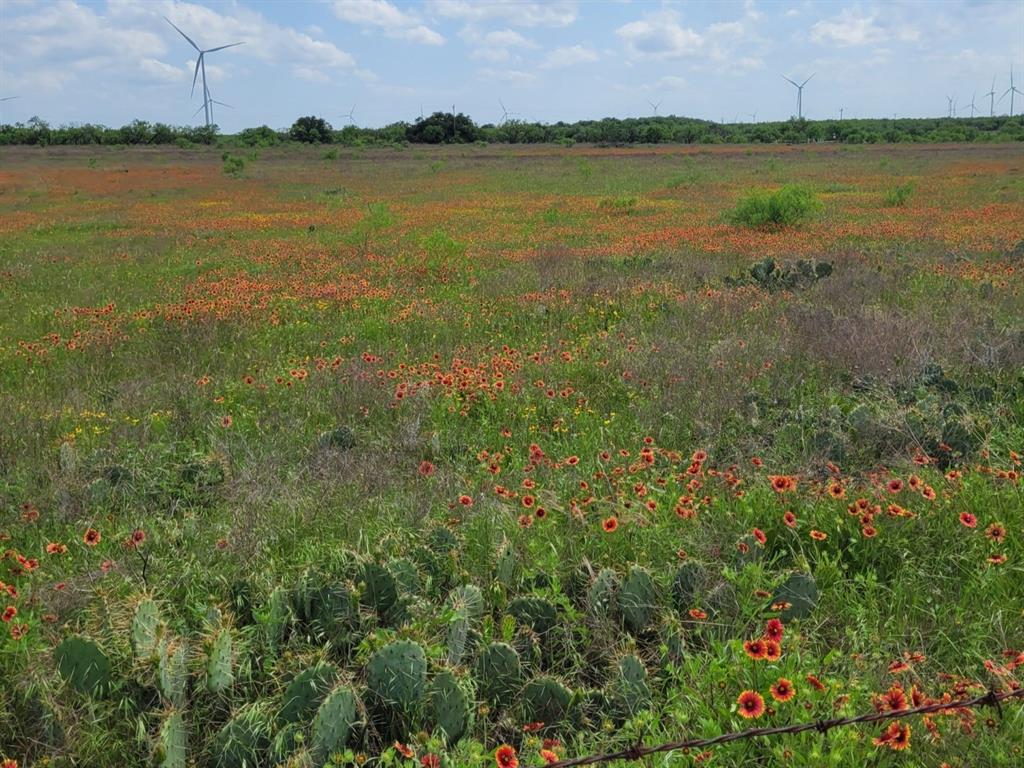 107 County Road 107 Cisco, TX 76437 - Photo 32 of 40 a view of a lake with houses in the background