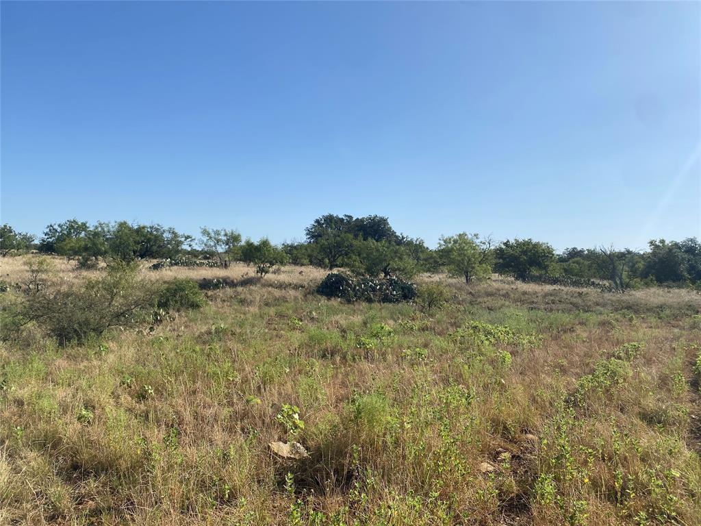 107 County Road 107 Cisco, TX 76437 - Photo 35 of 40 a view of a field of grass and trees