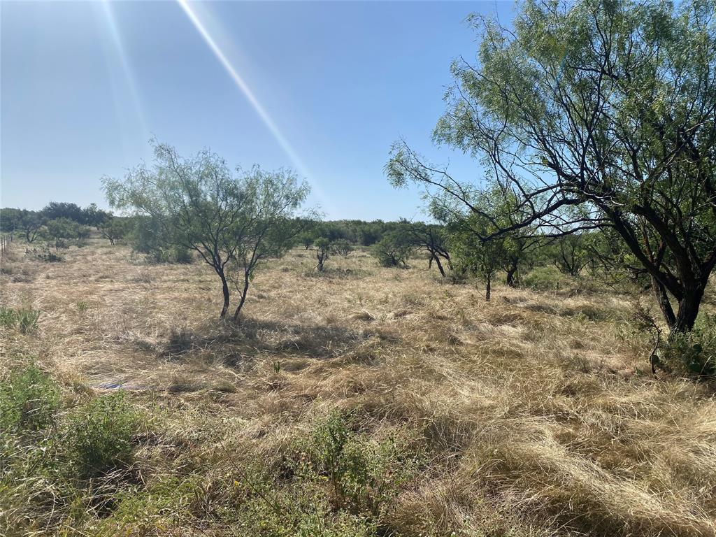 107 County Road 107 Cisco, TX 76437 - Photo 38 of 40 a view of a yard with trees