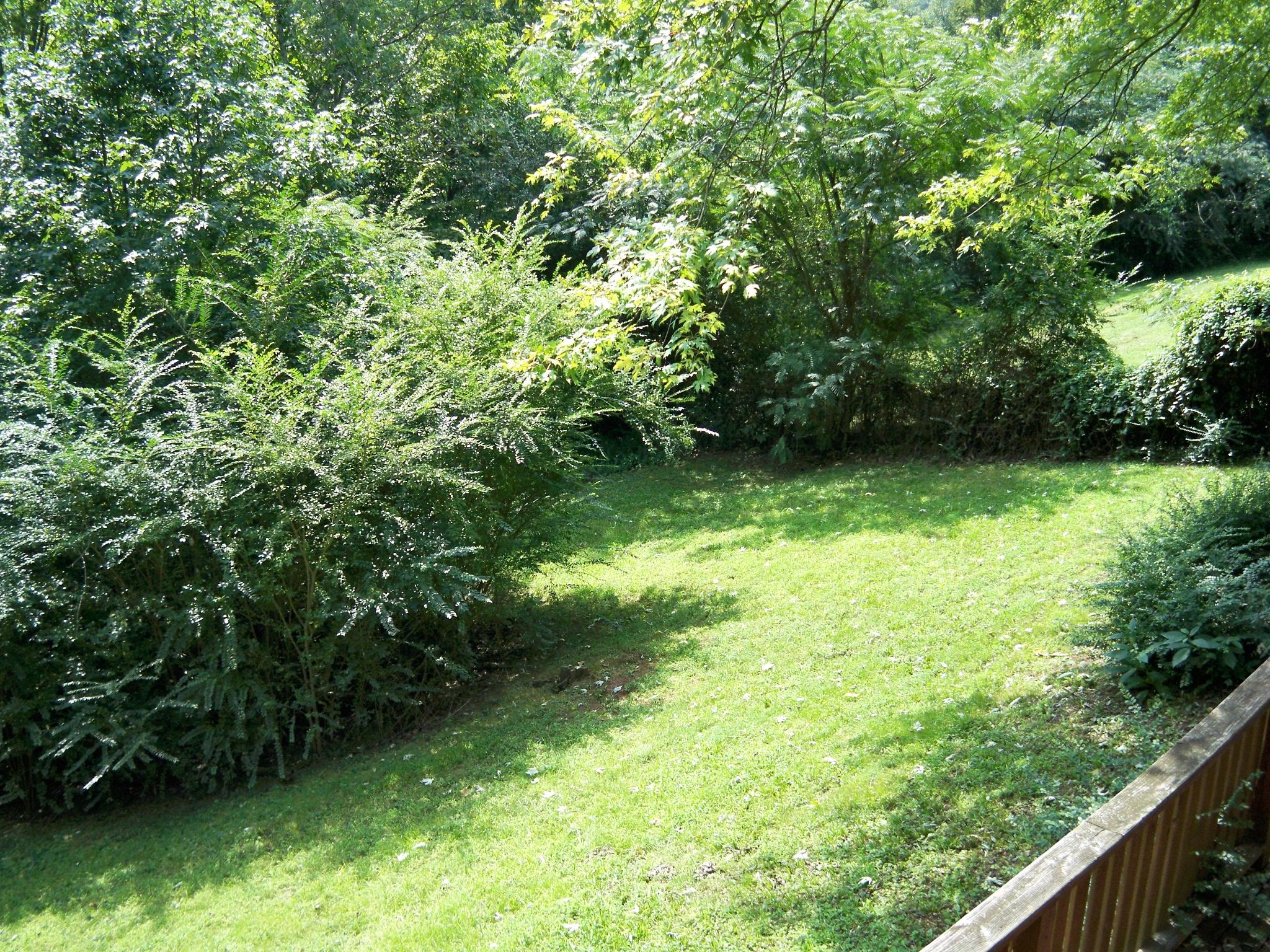 1716 Julian Ridge Road Chattanooga, TN 37421 - Photo 8 of 28 100_8406