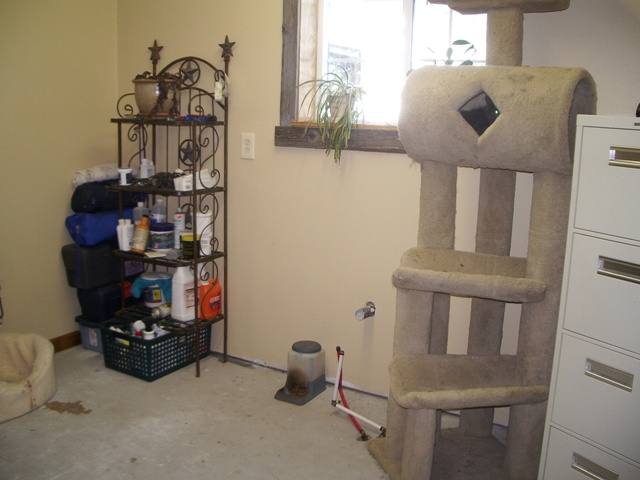 29 East Chattaroy Road Colbert, WA 99005 - Photo 5 of 9