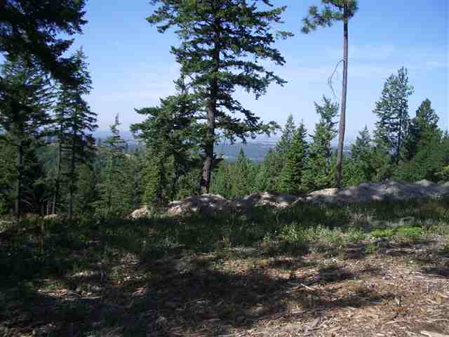 29 East Chattaroy Road Colbert, WA 99005 - Photo 8 of 9