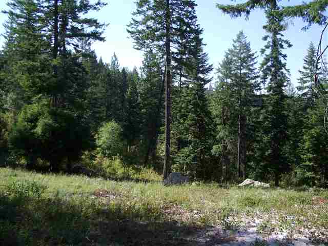 29 East Chattaroy Road Colbert, WA 99005 - Photo 9 of 9