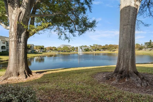 $1,995 | 1438 Millstream Lane, Unit 102, Dunedin, FL 34698