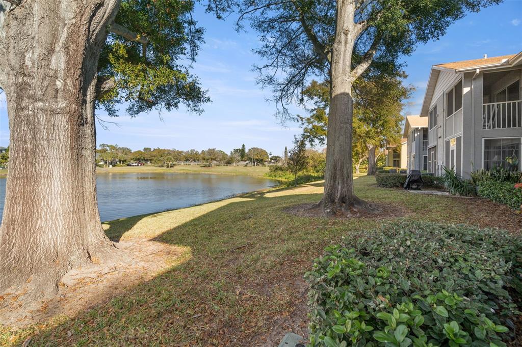 1438 Millstream Lane, Unit 102 Dunedin, FL 34698 - Photo 27 of 28