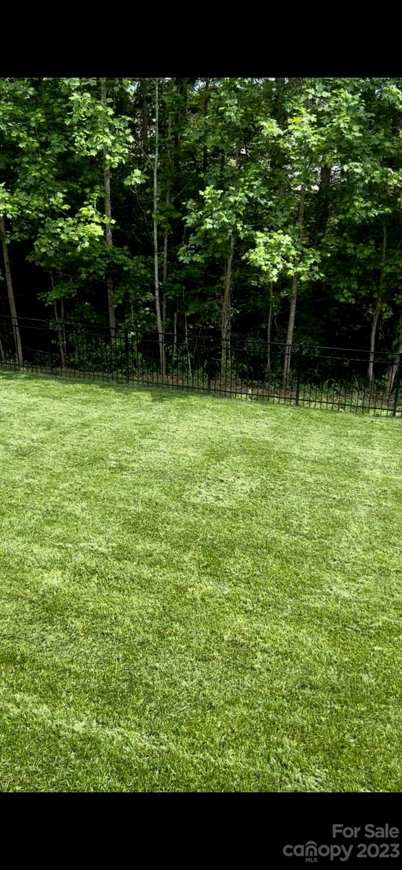 6004 Tremont Drive Indian Trail, NC 28079 - Photo 36 of 40 a view of backyard with green space