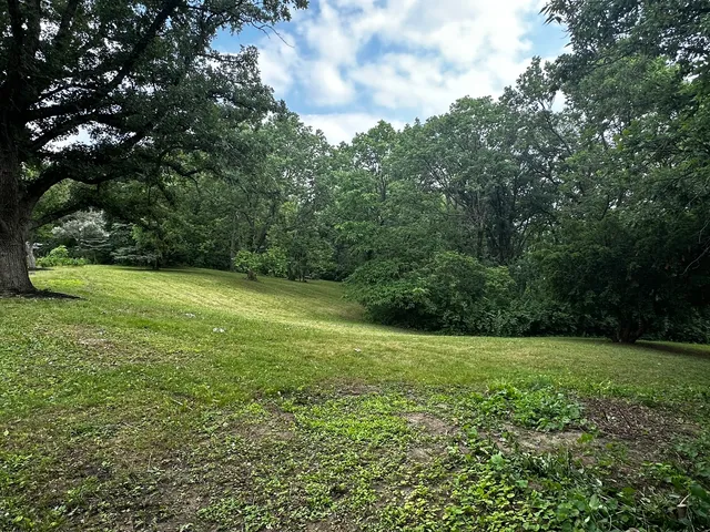 a view of a field with a trees in the background