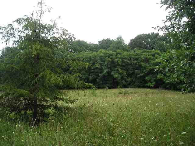 4 Pulaski Road Concord, MI 49237 - Photo 3 of 3 Photo 3
