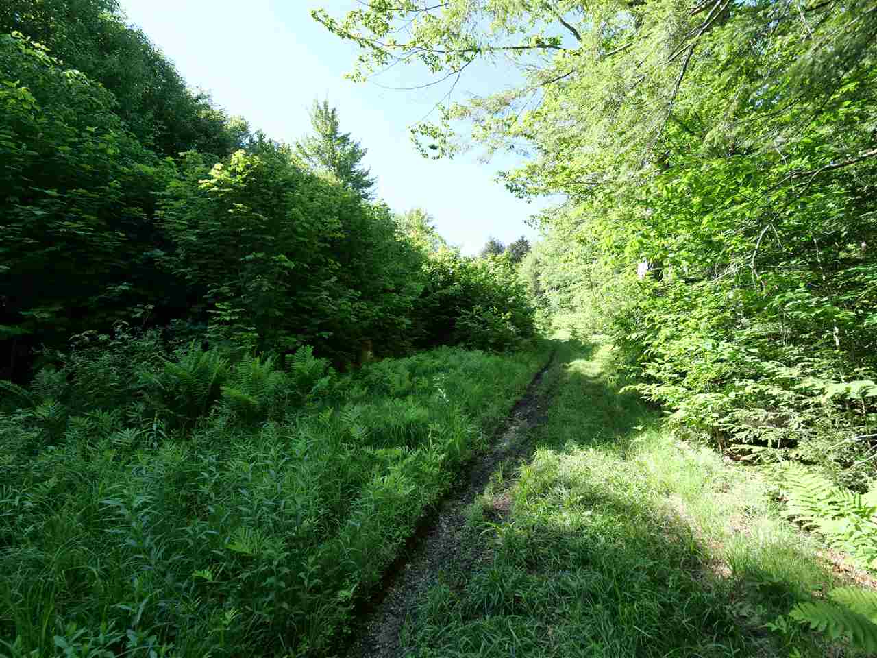 Patch Road Morristown, VT 05661 - Photo 1 of 5