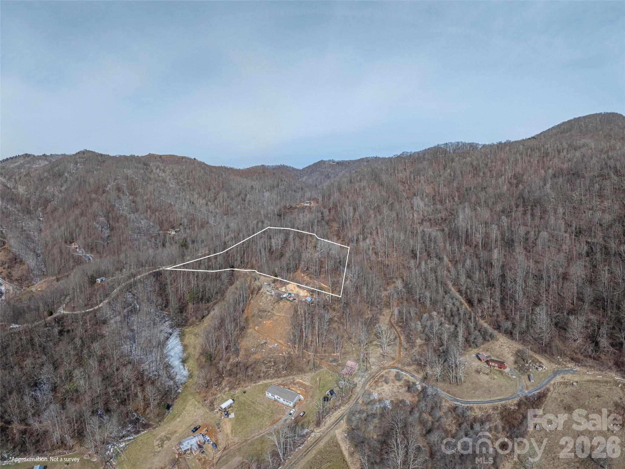 0 Max Patch Road Clyde, NC 28721 - Photo 2 of 7