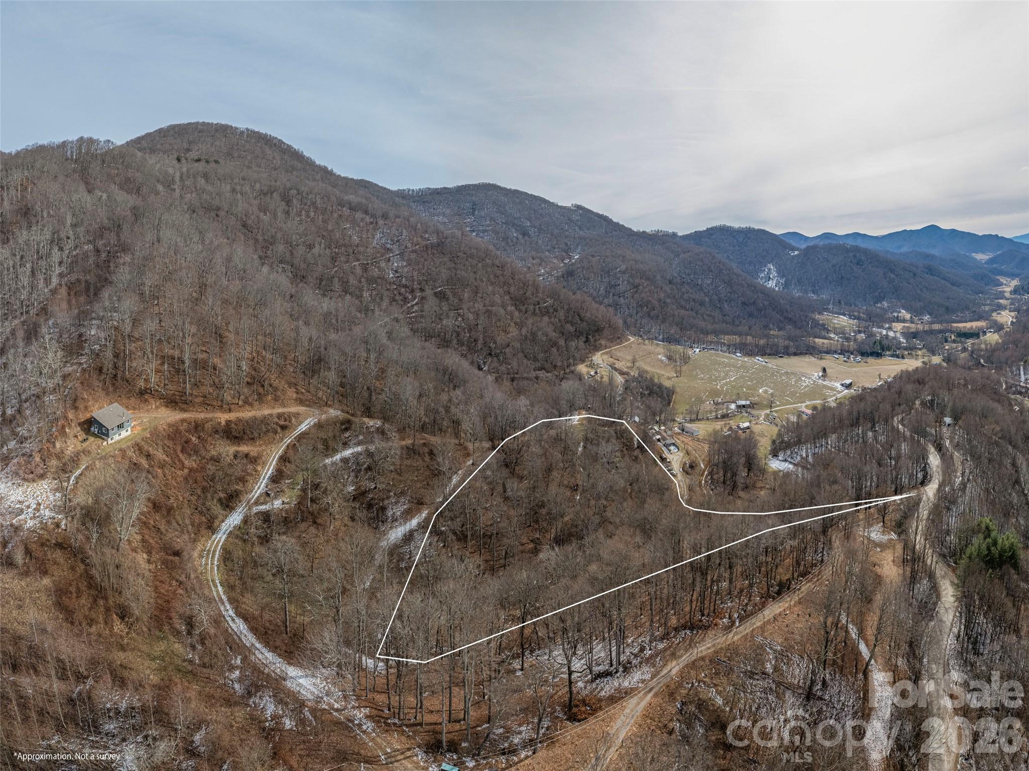 0 Max Patch Road Clyde, NC 28721 - Photo 3 of 7