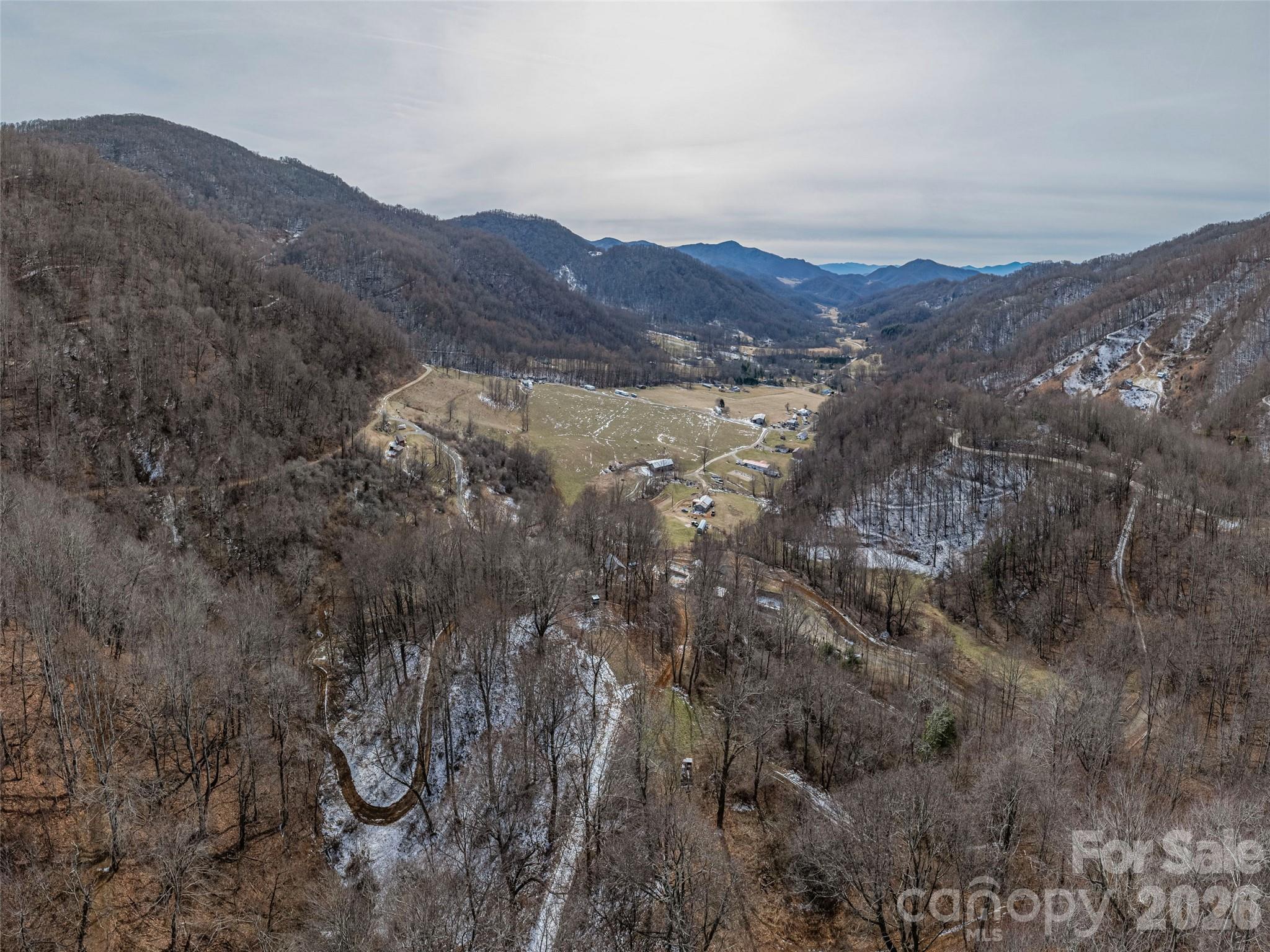 0 Max Patch Road Clyde, NC 28721 - Photo 4 of 7