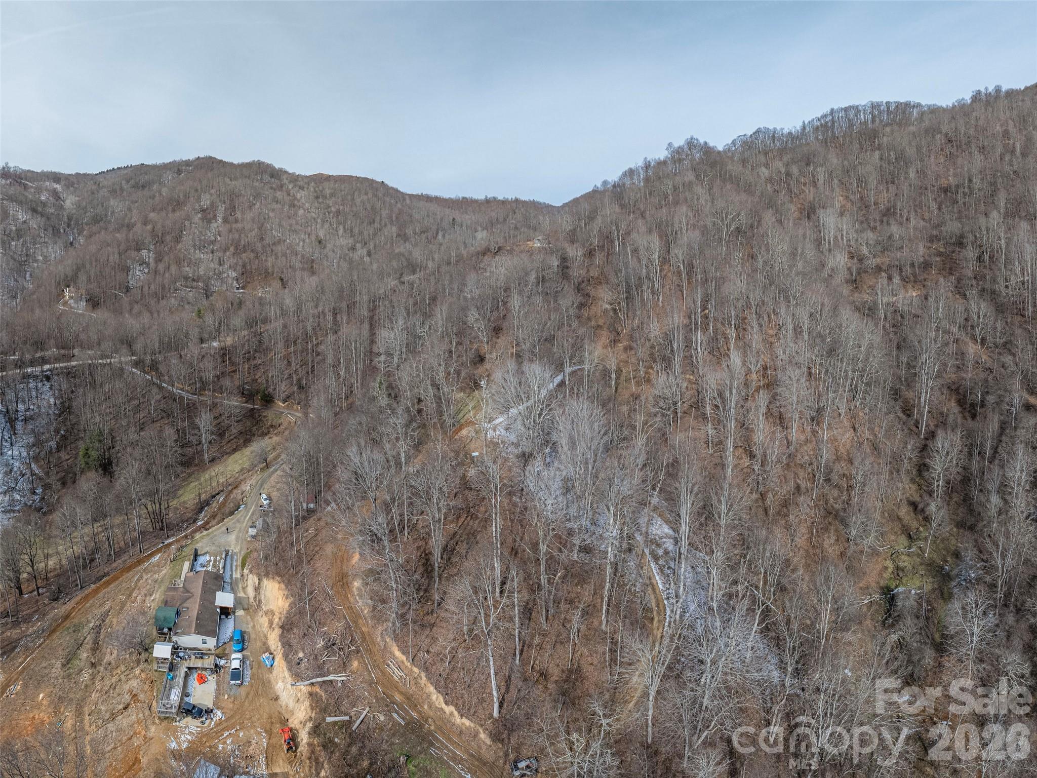 0 Max Patch Road Clyde, NC 28721 - Photo 6 of 7